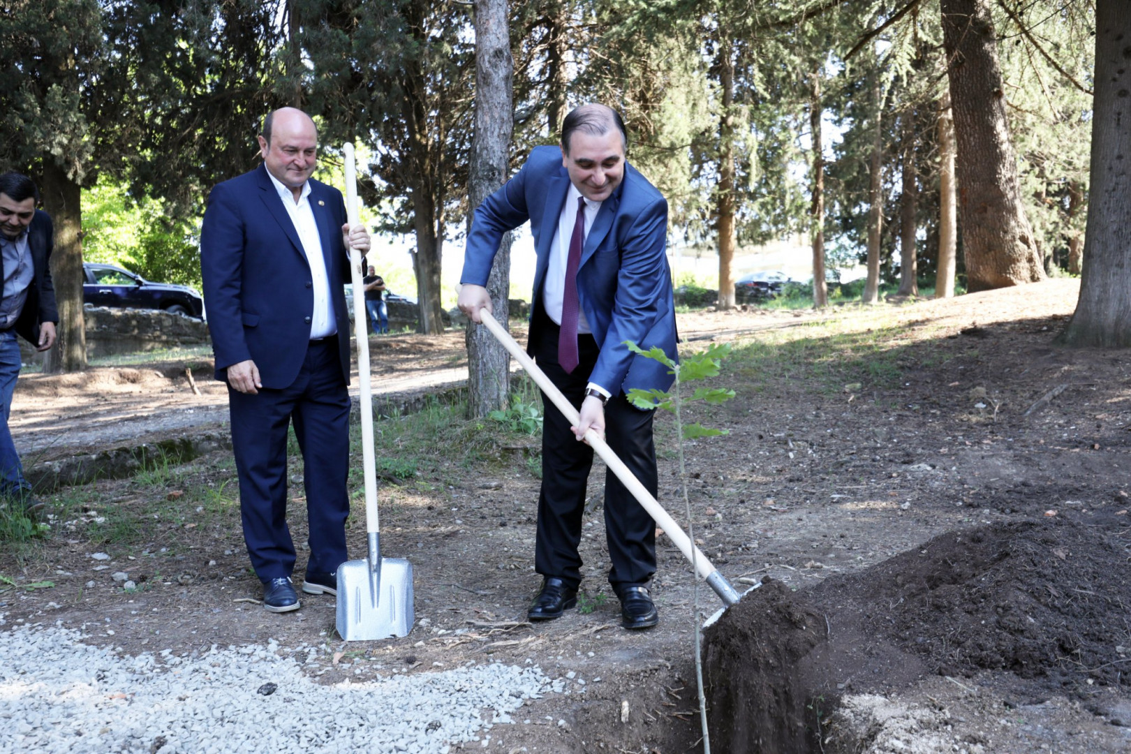 გურჯაანში კავკასიის უნივერსიტეტის გასტრონომიის აკადემიის მშენებლობა იწყება
