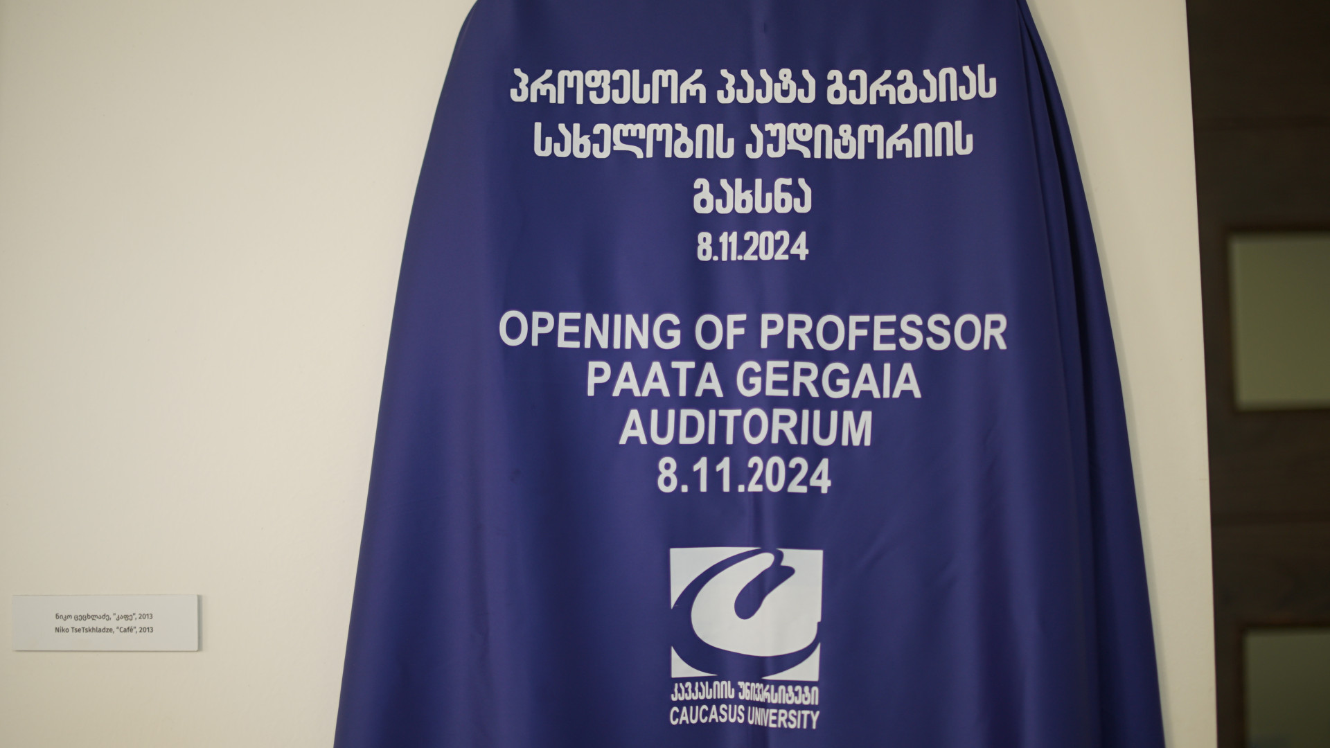 პროფესორ პაატა გერგაიას სახელობის აუდიტორიის გახსნა