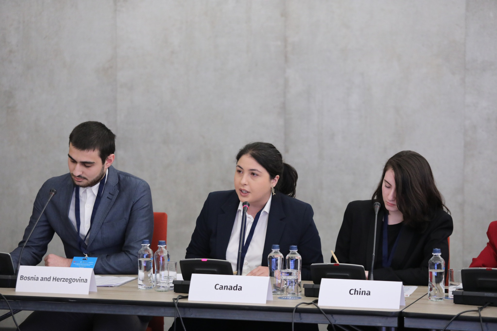 გაეროს უშიშროების საბჭოს მოდელირება