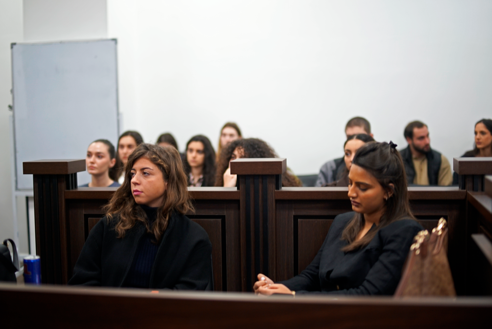 ეხვედრა ქალთა მიმართ და ოჯახში ძალადობის წინააღმდეგ ბრძოლის 16 დღიანი მსოფლიო კამპანიის ფარგლებში