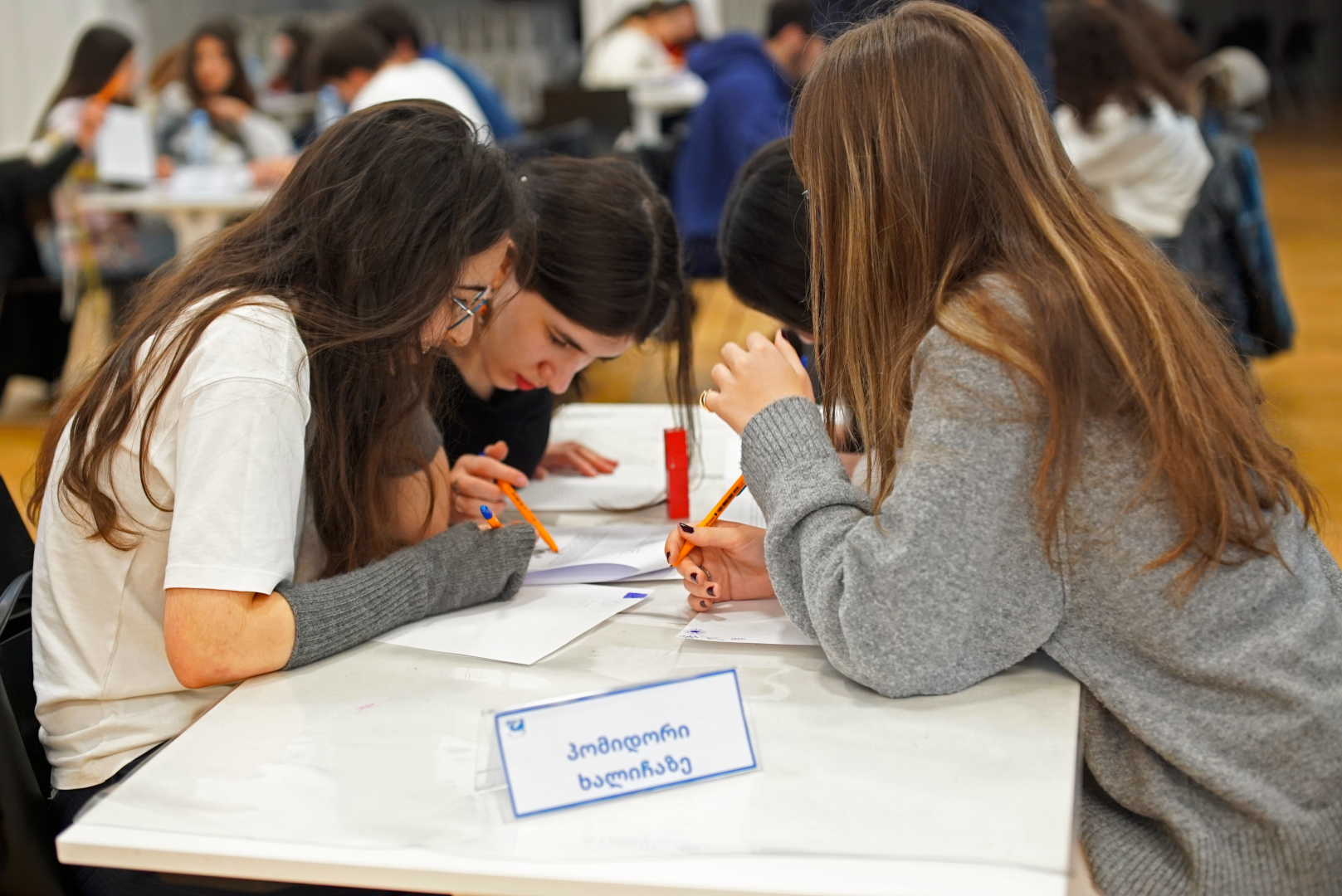 ლოგიკური თამაშების ლიგის პირველადი შედეგები და სწორი პასუხები