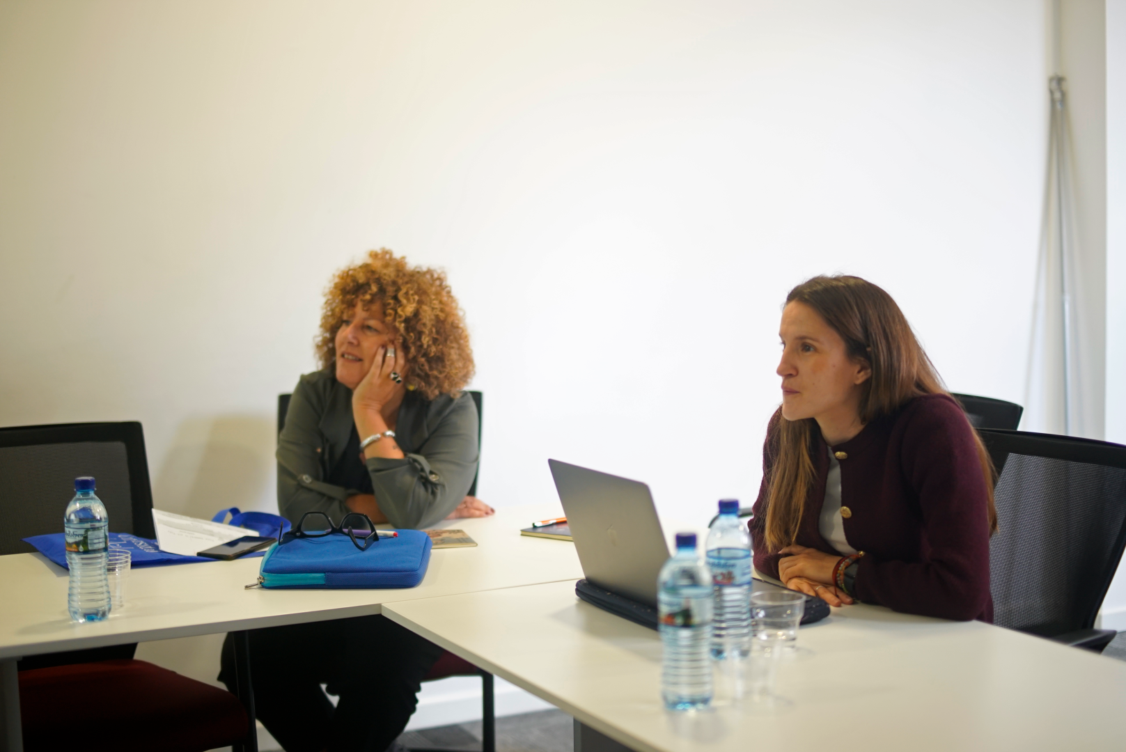 პარტნიორი უნივერსიტეტების წამომადგენლების ვიზიტი კავკასიის უნივერსიტეტში