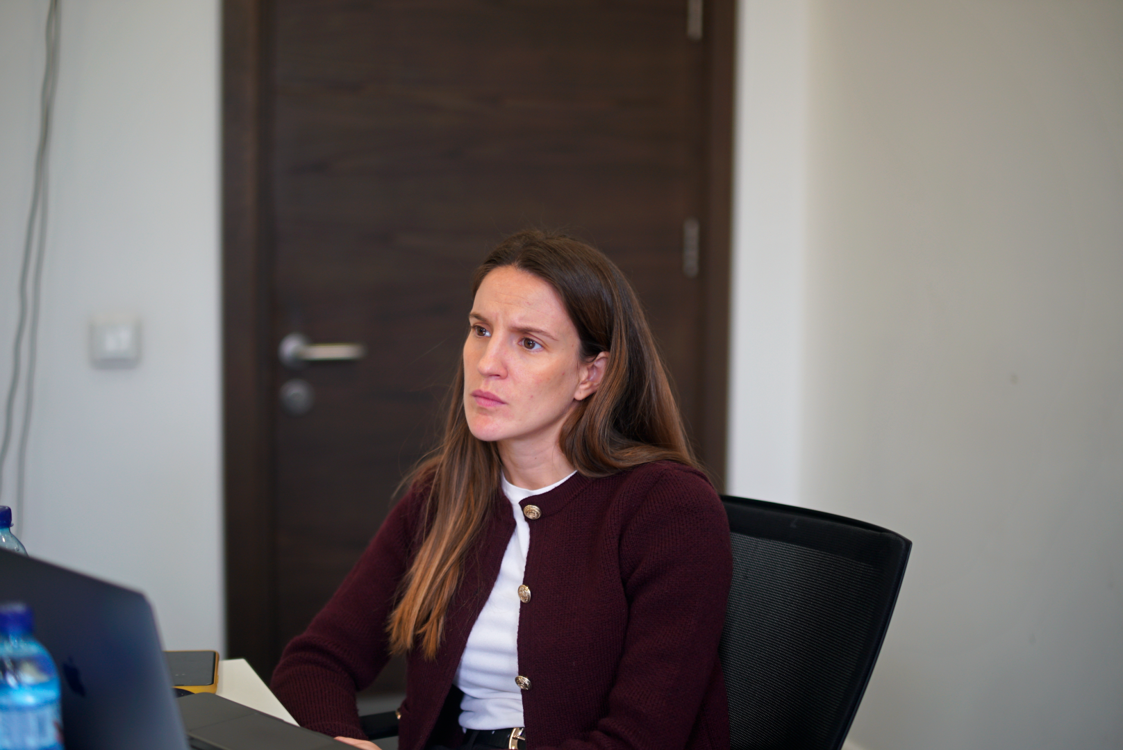 პარტნიორი უნივერსიტეტების წამომადგენლების ვიზიტი კავკასიის უნივერსიტეტში