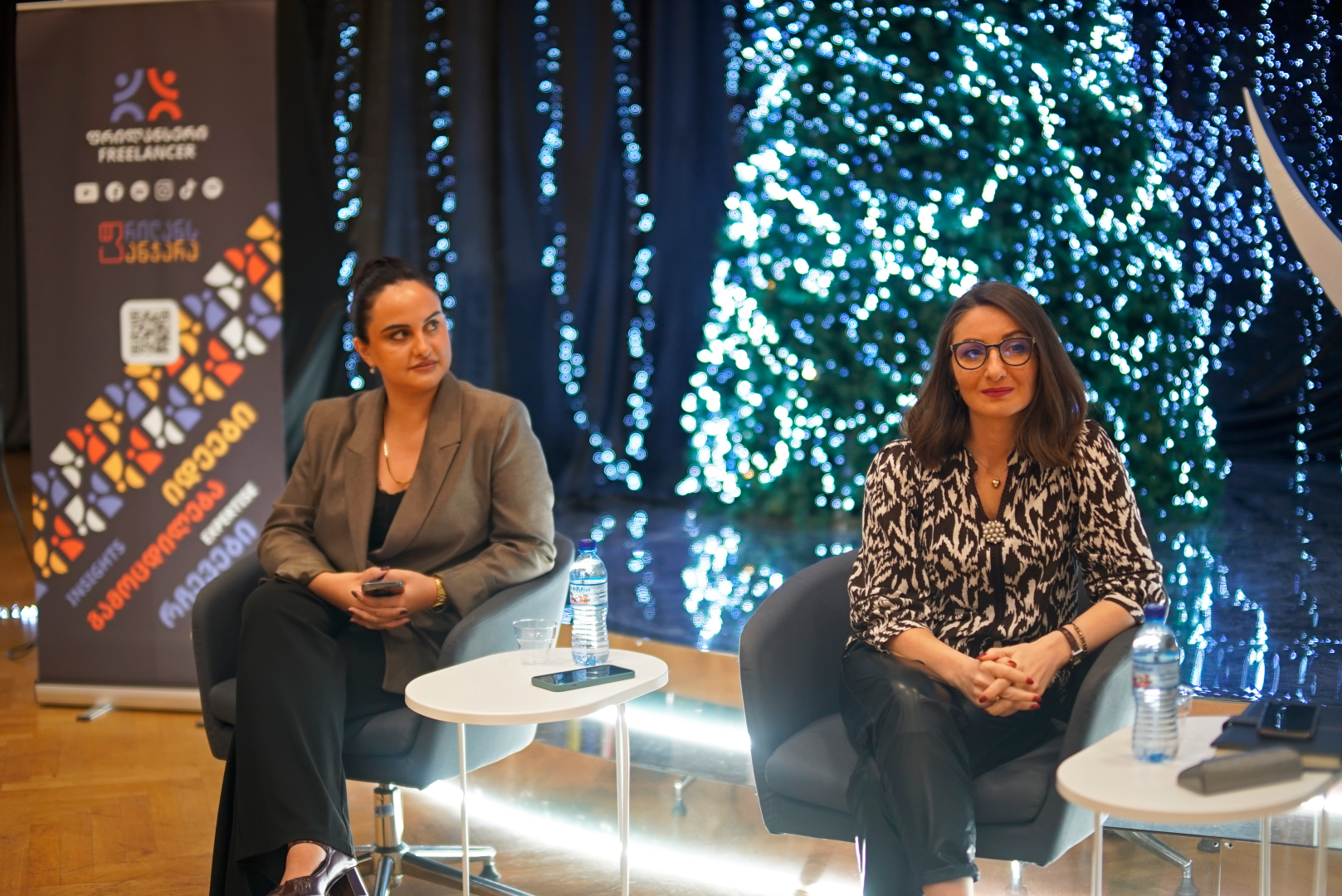 შეხვედრა ფრილანსერების ასოციაციის წევრებთან