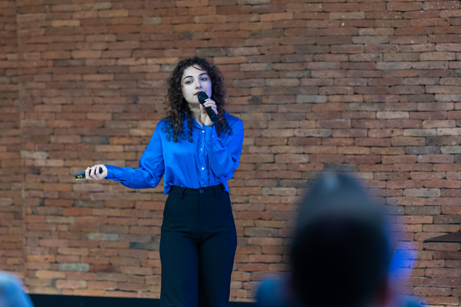 ტექნოპარკის სტარტაპ ინკუბატორის 2025 დემო დღე 