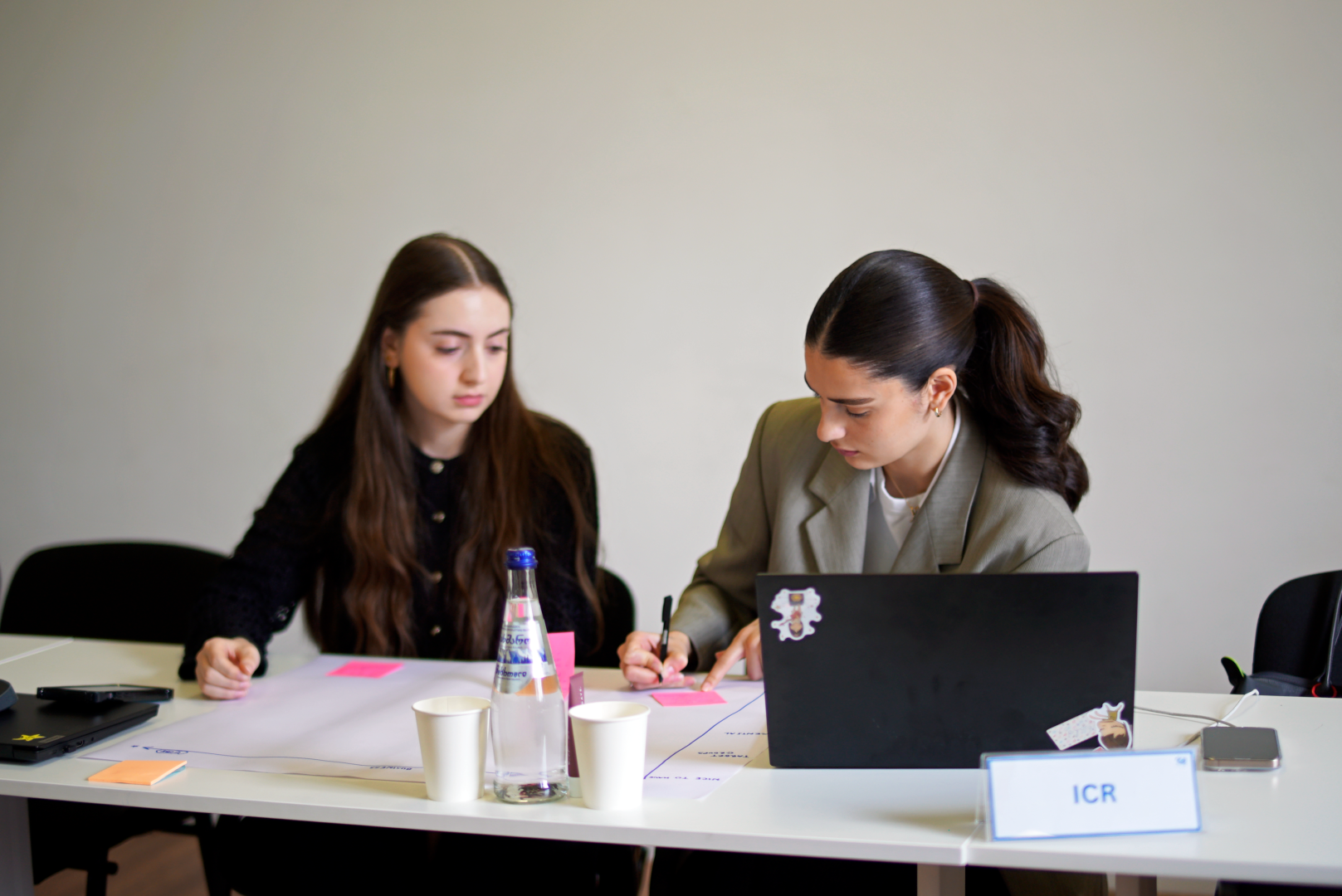 SDG ინოვაციის აქსელერაციის პროგრამა ახალგაზრდა პროფესიონალებისთვის - მეორე ბანაკი 
