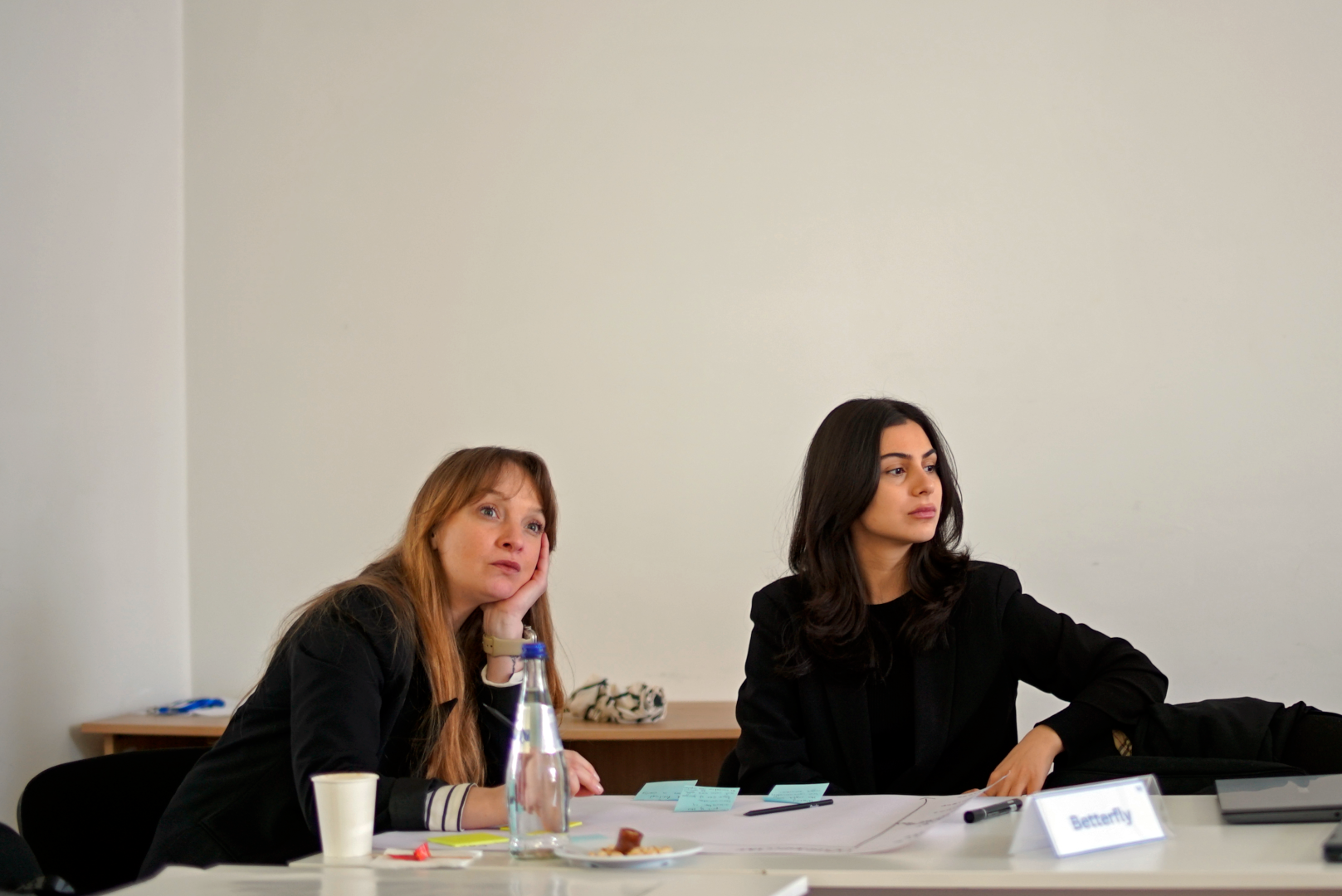 SDG ინოვაციის აქსელერაციის პროგრამა ახალგაზრდა პროფესიონალებისთვის - მეორე ბანაკი 