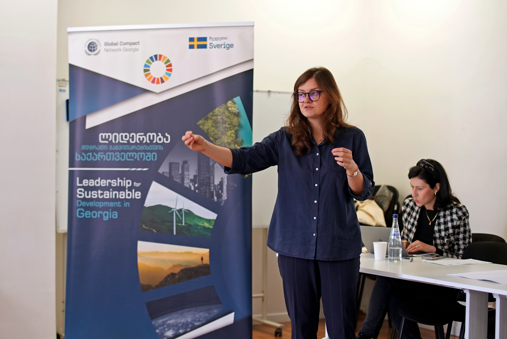 SDG ინოვაციის აქსელერაციის პროგრამა ახალგაზრდა პროფესიონალებისთვის - მეორე ბანაკი 