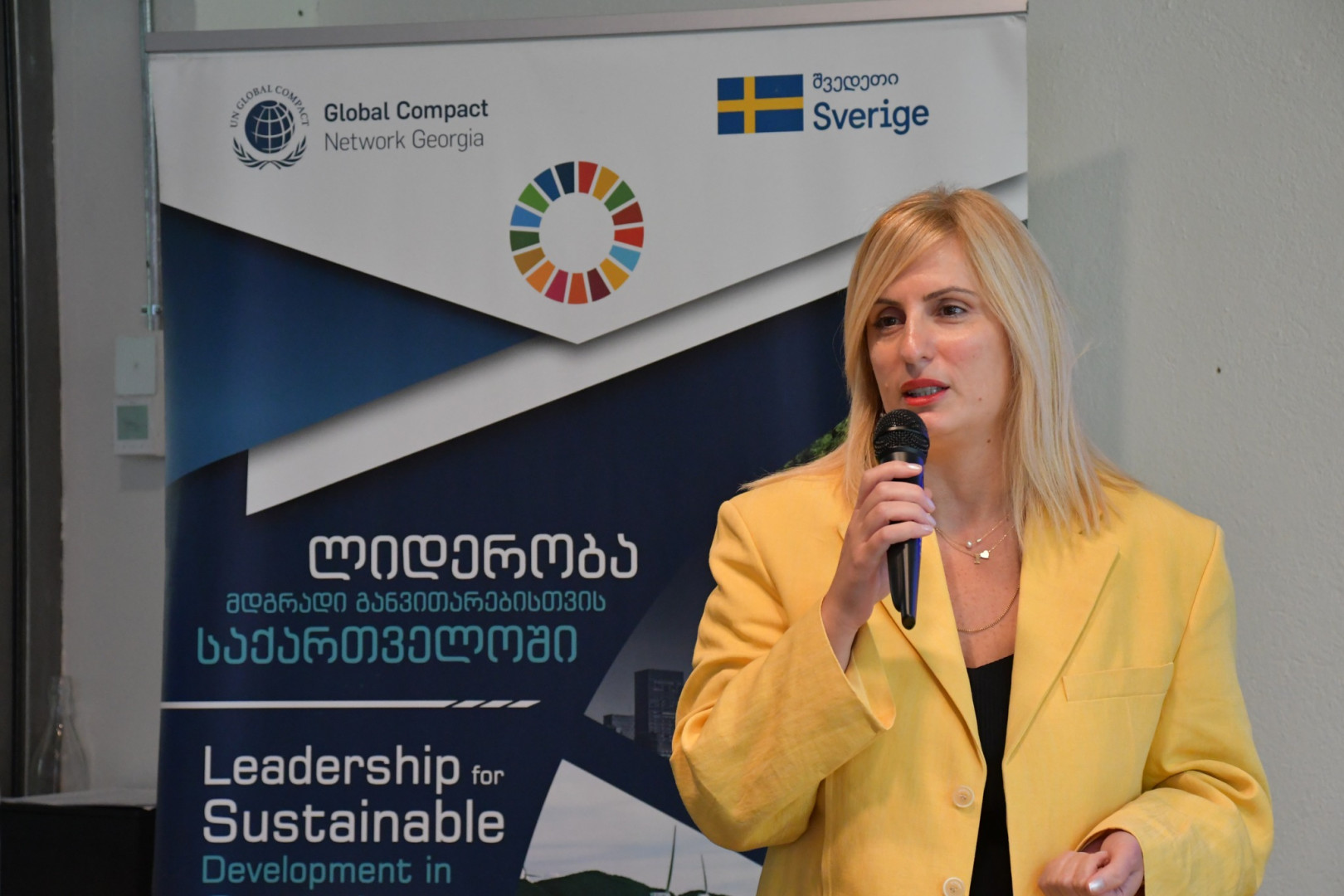 SDG ინოვაციის აქსელერაციის პროგრამა ახალგაზრდა პროფესიონალებისთვის“ - დასკვნითი ღონისძიება 