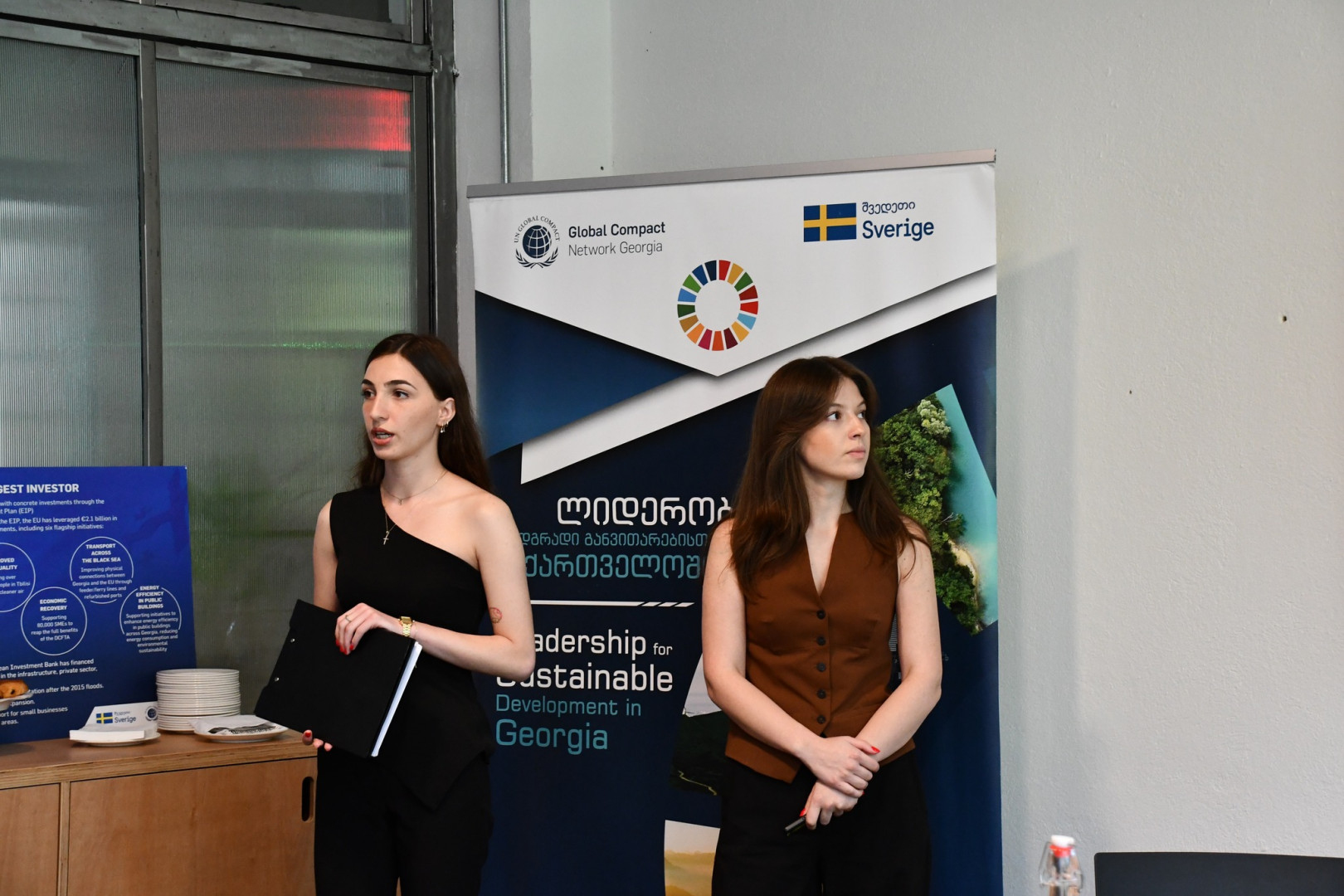SDG ინოვაციის აქსელერაციის პროგრამა ახალგაზრდა პროფესიონალებისთვის“ - დასკვნითი ღონისძიება 