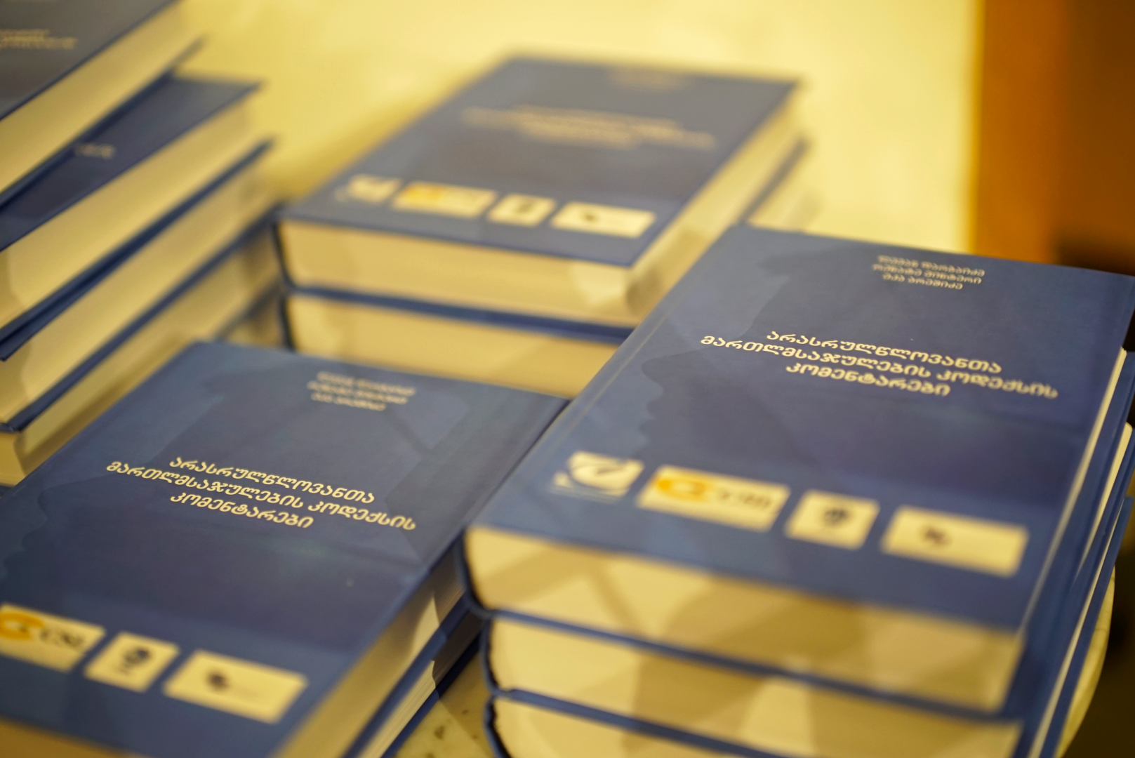 &bdquo;არასრულწლოვანთა მართლმსაჯულების კოდექსის კომენტარების&ldquo; პირველი სახელმძღვანელოს პრეზენტაცია