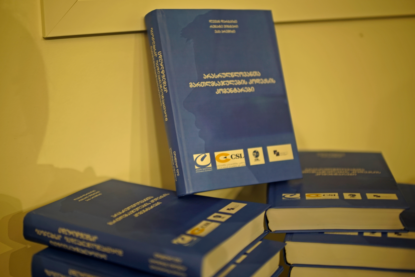 &bdquo;არასრულწლოვანთა მართლმსაჯულების კოდექსის კომენტარების&ldquo; პირველი სახელმძღვანელოს პრეზენტაცია