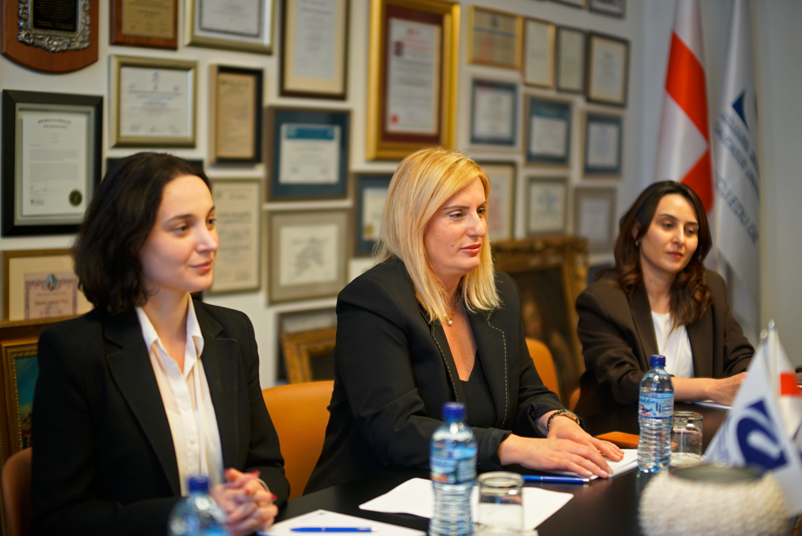 კავკასიის უნივერსიტეტის ვიც-პრეზიდენტმა კორეის რესპუბლიკის ელჩს უმასპინძლა