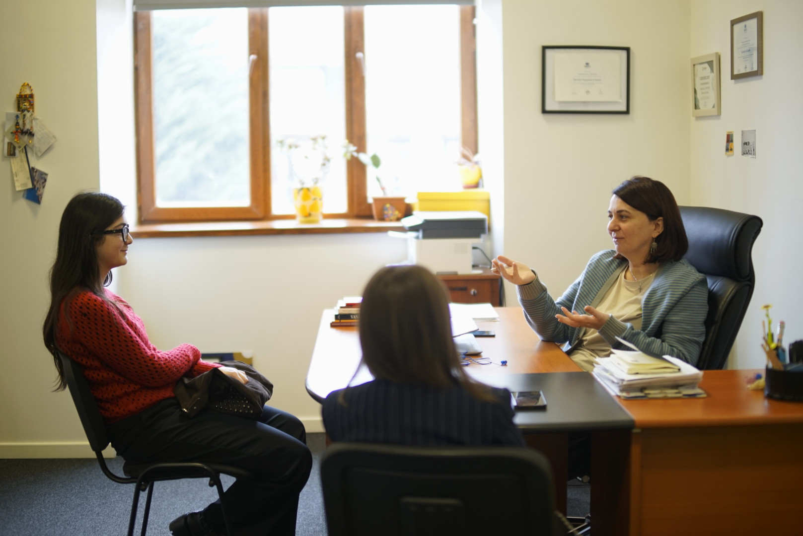 საინფორმაციო შეხვედრა აბიტურიენტებისთვის
