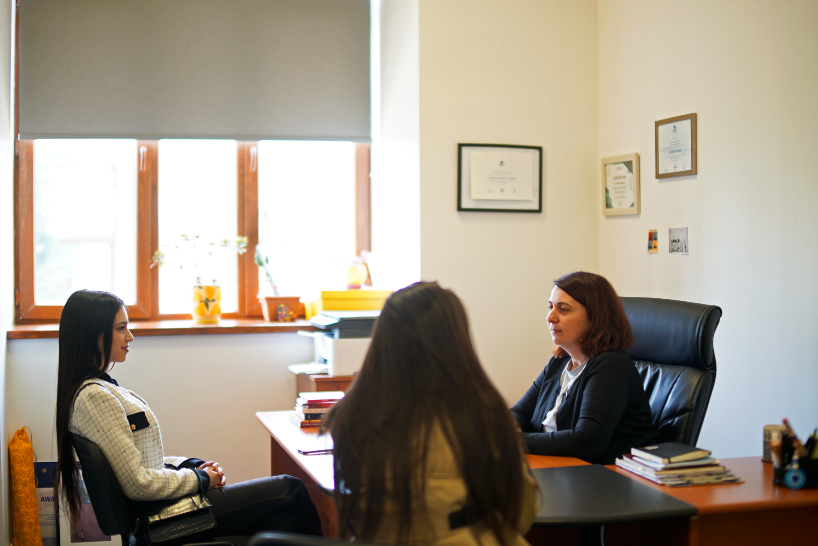 საინფორმაციო შეხვედრა აბიტურიენტებისთვის