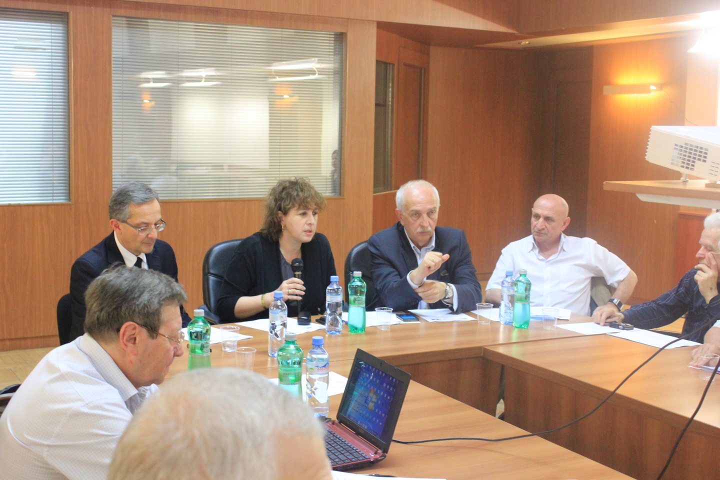 "საქართველოს საინოვაციო პოტენციალის განმსაზღვრელი ფაქტორები და გაუმჯობესების პირობები"